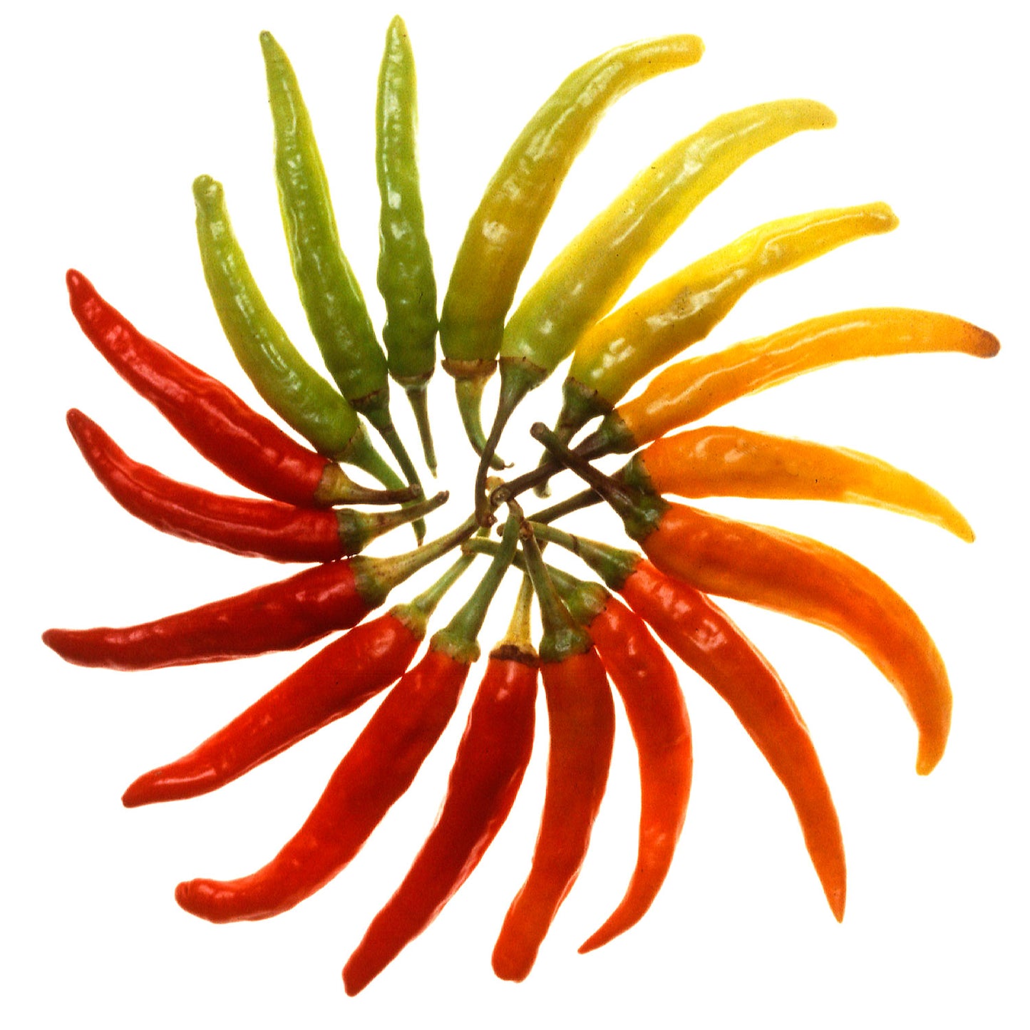 Hot and Spicy Dip Mixes