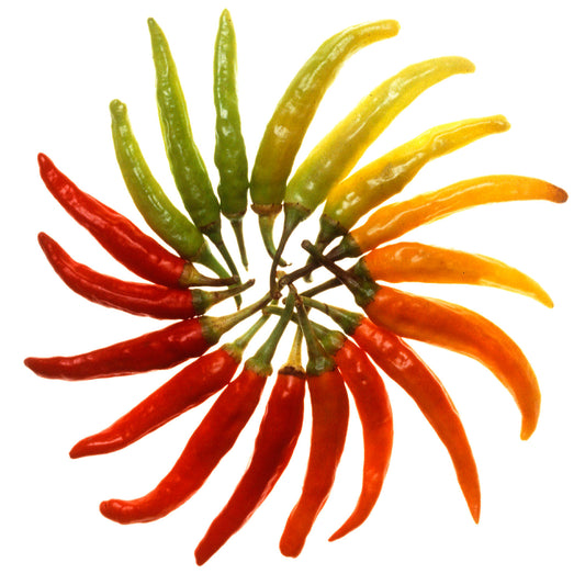 Hot and Spicy Dip Mixes